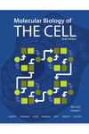 molecular biology of the cell 6th (bruce alberts, alexander johnson)