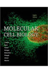 molecular cell biology 8th (lodish, berk, kaiser, krieger, bretscher, ploegh, amon, martin)