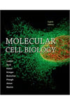 molecular cell biology 8th (lodish, berk, kaiser, krieger, bretscher, ploegh, amon, martin)