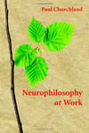 Neurophilosophy at Work Illustrated Edition Paul Churchland
