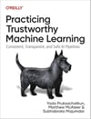 Practicing Trustworthy Machine Learning: Consistent, Transparent, and Fair AI Pipelines Pruksachatkun Mcateer