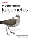Programming Kubernetes: Developing Cloud-Native Applications 1st Edición