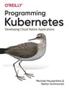 Programming Kubernetes: Developing Cloud-Native Applications 1st Edición