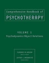 psychotherapy volume 1 (kaslow, magnavita)