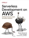 Serverless Development on AWS: Building Enterprise-Scale Serverless Solutions Brisals Hedger