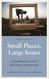 small places large issues 4th (thomas hylland eriksen)