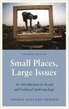 small places large issues 4th (thomas hylland eriksen)