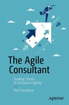 The Agile Consultant: Guiding Clients to Enterprise Agility 1st ed. Edition