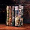 The Hobbit & The Lord of the Rings Boxed Set Ciltli Kapak – Resimlendirilmiş, 7 Ocak 2020