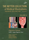 The Netter Collection of Medical Illustrations: Digestive System: Part I - The Upper Digestive Tract (Netter Green Book Collection) 2nd Edition James C Reynolds MD