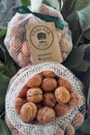 Kabuklu Yaş/Taze Ceviz(2,5kg)Tragaia Çiftliği