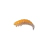 Effe Fat Camola Natural Clear Cheese