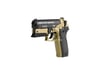 Gamo PT 80 Dessert Attack