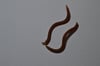Smell Worm sahte solucan