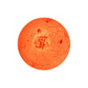 SPRO PRO PASTE GARLIC FLUO Orange
