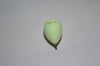 Zargana topu 50 gr