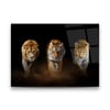 Aslan Kaplan Leopar Yatay Cam Tablo-Glass Art Concept