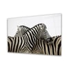 Zebra Yatay Cam Tablo
