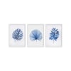 Blue Leaf Çerçeveli Poster SetiPosterlerTablolife.com