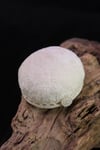 Taş Eşarp Şal İğnedanlık Kadife Lastikli Boncuklu - Hürrem Bone 5007_46