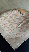 BEJ GOYARD TWİL EŞARP
