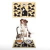Vagonik Water Food Kedi Köpek Desenli Dijital Baskılı 35x50cm Dekoratif Çok Amaçlı Iç Ve Dış Kapı Paspası Mama Paspası