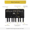 Casio SA-51 32 Tuş Org