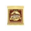 Ernie Ball P02008 Rock Blues 10-52 Akustik Gitar Teli