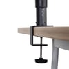 Gator Frameworks Clamp-On Monitör Standı (ÇİFT)