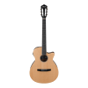 IBANEZ AEG7TN-NT Elektro Klasik Gitar (KILIF+PENA)