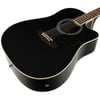 Ibanez PF15ECE-BK Elektro Akustik Gitar