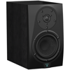ICON Pro Audio DT-5S Aktif Stüdyo Monitörü (Tek)