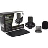LEWITT LCT 440 Pure Kondenser Mikrofon
