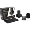 LEWITT LCT 440 Pure Kondenser Mikrofon