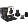 LEWITT LCT 440 Pure Kondenser Mikrofon