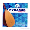 Pyramid Premium Kalite Kısa Sap Bağlama Teli