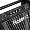 ROLAND PM-100 - 80 Watt Davul Monitörü