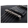 Schecter Demon-6 Elektro Gitar (Aged Black Satin)