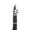 SILVER SCL-02G G (Sol) Klarnet