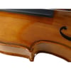 Stentor 1500 SN/A Student II Keman (4/4) (YASTIK HEDİYELİ)