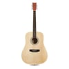 Sx SD104 Akustik Gitar (KILIF+PENA)