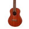 TAKAMINE EGU-C1 Elektro Concert Ukulele
