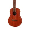 TAKAMINE EGU-C1 Elektro Concert Ukulele
