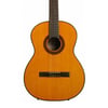 TAKAMINE GC1 NAT Klasik Gitar (KILIF+PENA)