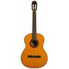 TAKAMINE GC1 NAT Klasik Gitar (KILIF+PENA)