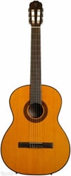 TAKAMINE GC1 NAT Klasik Gitar (KILIF+PENA)