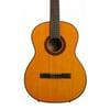 TAKAMINE GC1 NAT Klasik Gitar (KILIF+PENA)