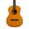 TAKAMINE GC1 NAT Klasik Gitar (KILIF+PENA)