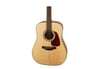 Takamine GD10-NS Akustik Gitar (KILIF+PENA)