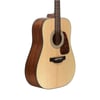 Takamine GD10-NS Akustik Gitar (KILIF+PENA)